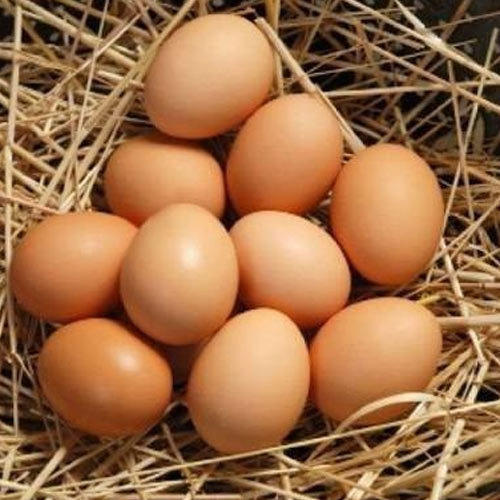 568