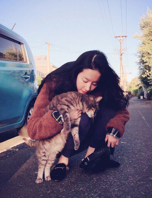 Nữ diễn viên nổi tiếng cho hay, cô hiện đang nuôi 10 chú mèo và xem chúng là bạn thân. 