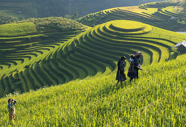 ruong-bac-thang-sapa-1349