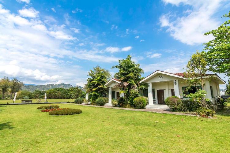làm đẹp bằng đu đủ, đu đủ làm đẹp