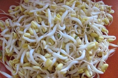 giá đỗ kích thích
