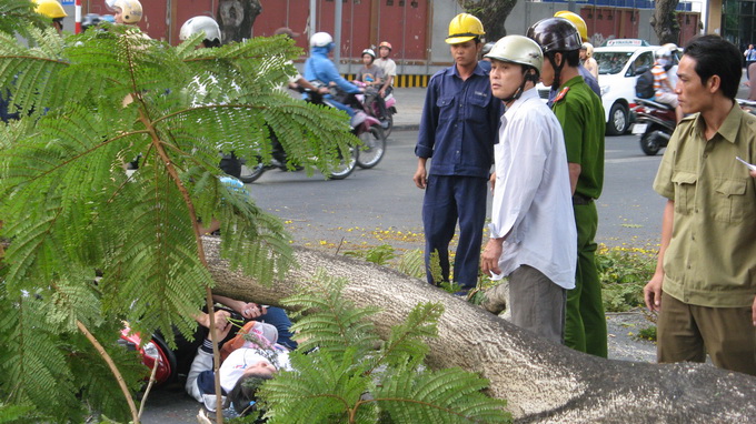 Mô tả ảnh.