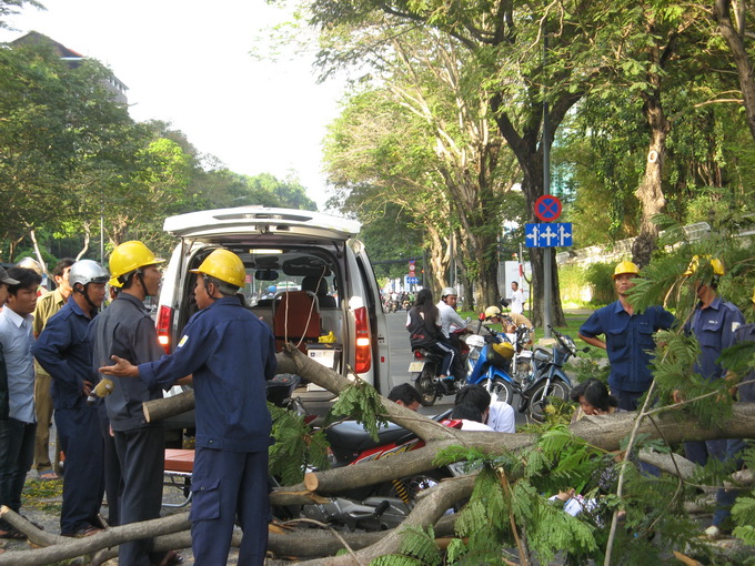 Mô tả ảnh.