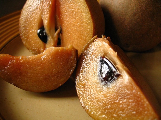 hồng xiêm