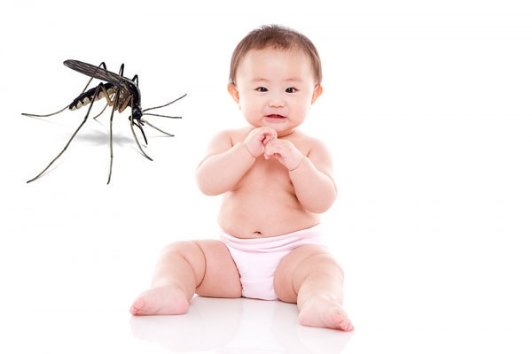 côn trùng đốt