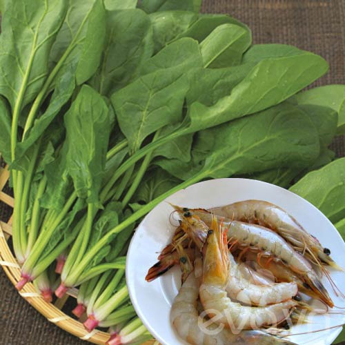 Shbet0099 cá cược trực tuyến mẹ không nên nấu cùng nhau