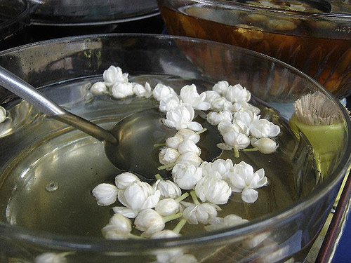 hoa nhài chữa bệnh
