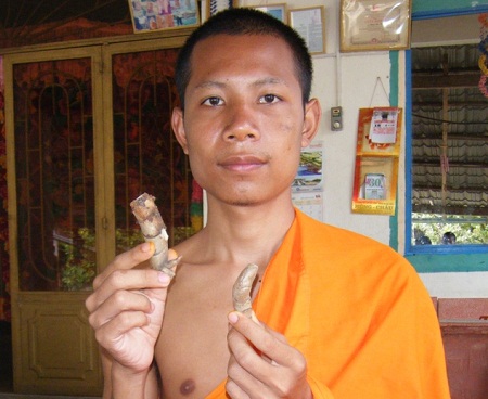 Chuyện lạ chưa biết về ngải rắn - thuốc quý cứu người ở An Giang