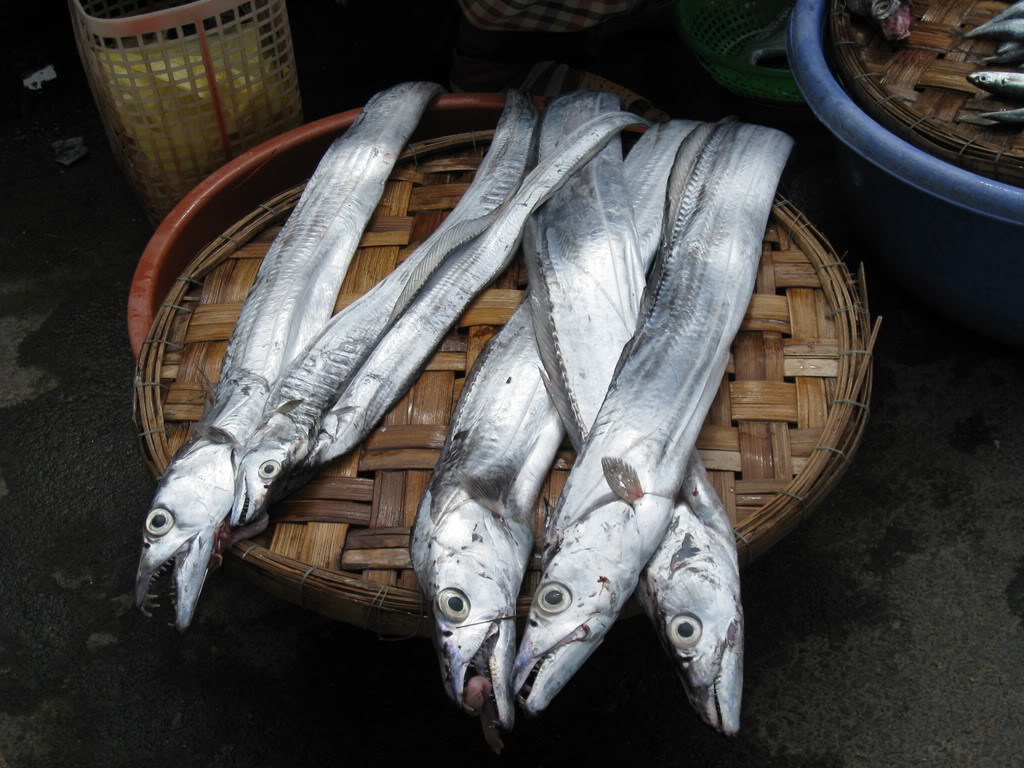 loại cá bổ dưỡng bạn nên ăn