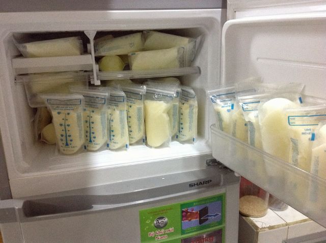 chăm con, bố đơn thân, Trình Tuấn
