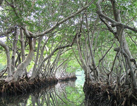 Nhật Bản