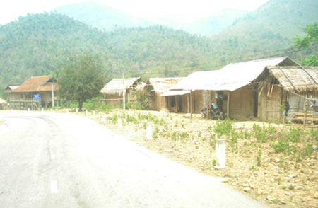 nang nong