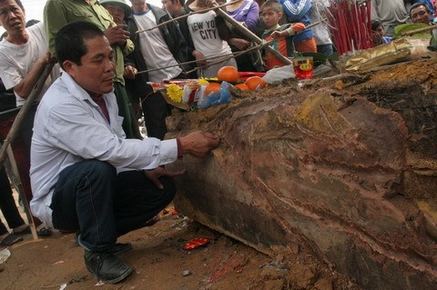 chuyện lạ xác ướp