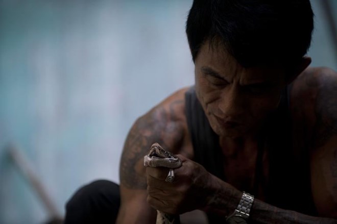 ran-doc-can-khong-chet1