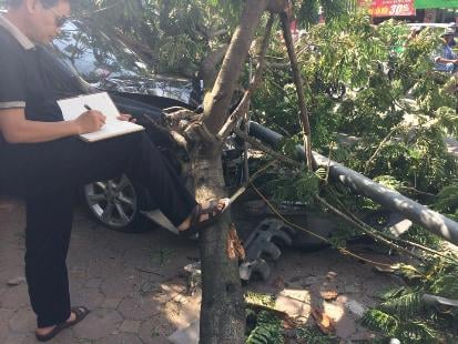 Đâm bật gốc cây có đường kính 40cm, kéo lê 5m