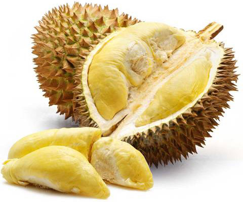 sầu riêng