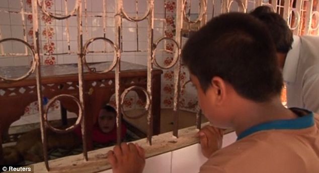 sinh vật đầu người mình cáo