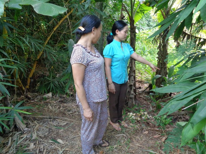 bé bị bỏ rơi ở rặng tre