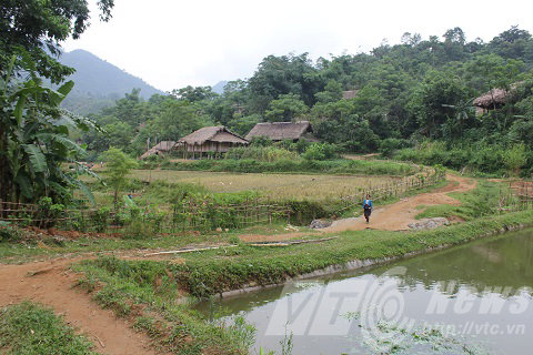 quỷ ám