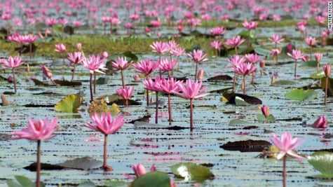 10 hồ kì lạ nhất thế giới