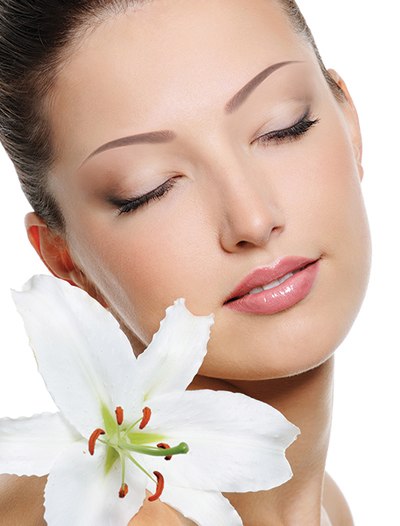 Vỏ cây giúp khỏe da