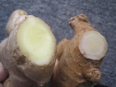 Rượu gừng nghệ thường đóng trong chai không nhãn mác, không rõ nguồn gốc xuất xứ.
