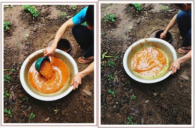 Chỉ vì tin vào những comment khách hàng do chính người bán đăng tải như thế này, chị em sẵn sàng bỏ tiền ra mua rượu gừng nghệ không rõ từ đâu đến.