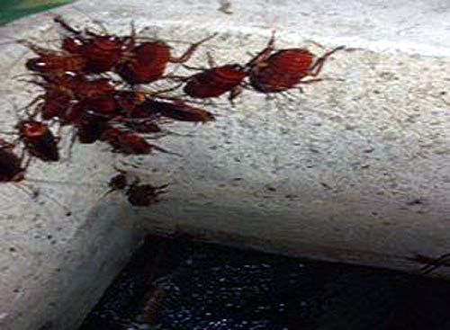 bể nước ngầm