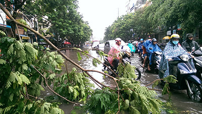 hà nội ngập