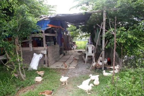 Mô tả ảnh.
