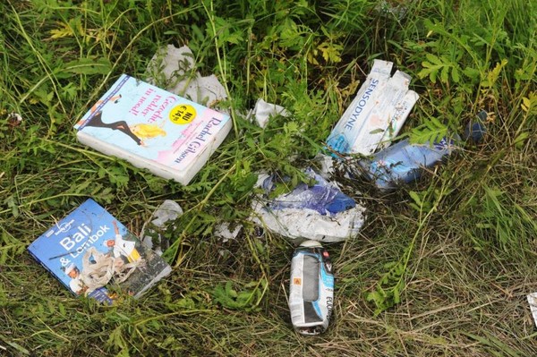 mh17