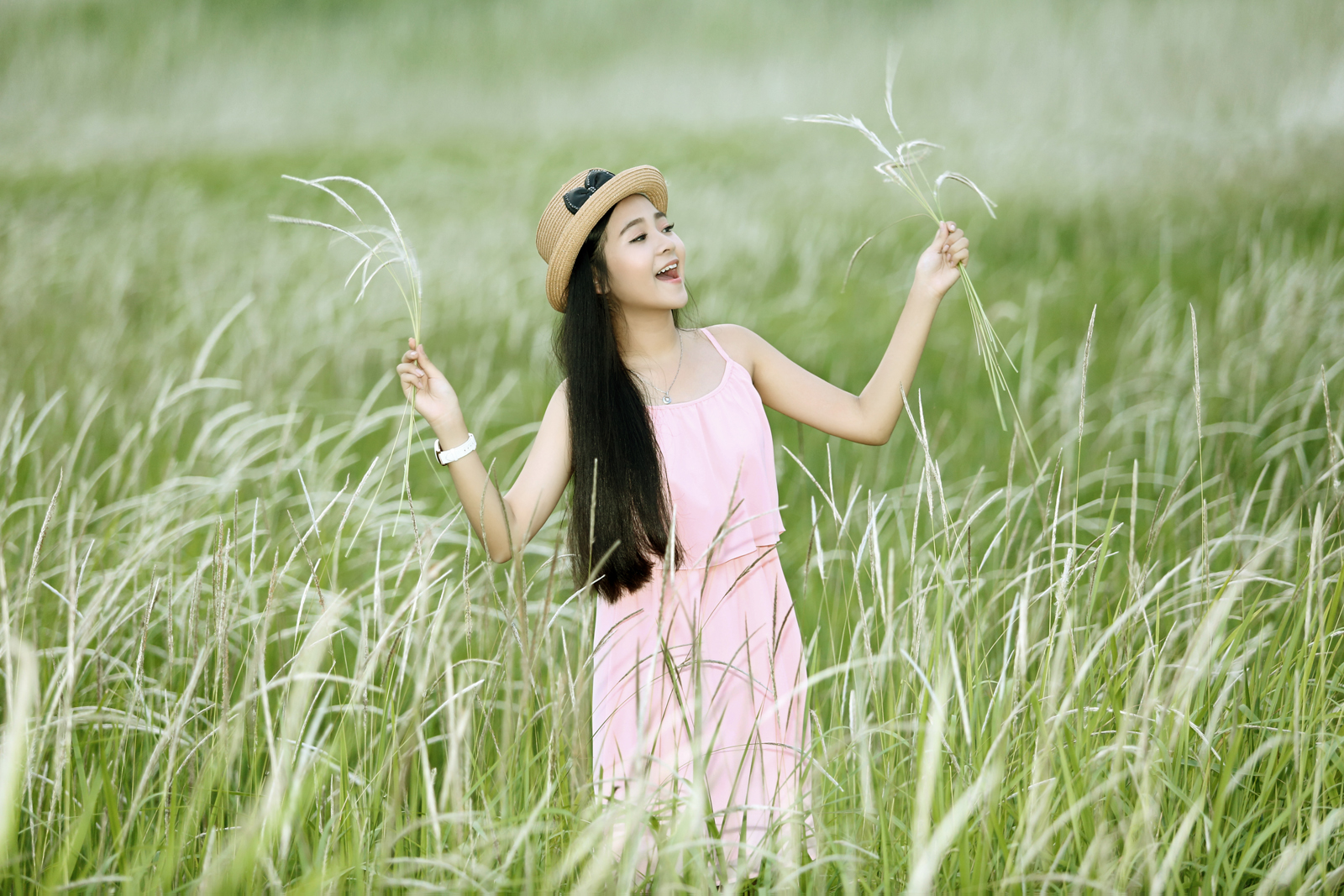 tam triều dâng