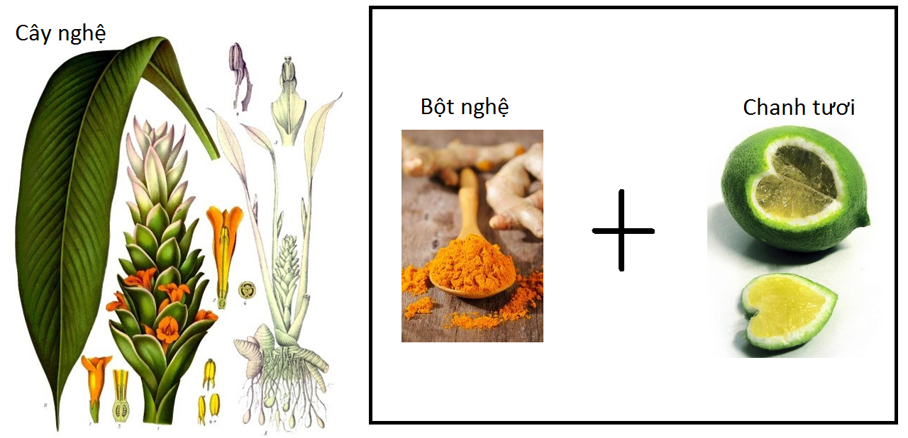 cách làm trắng da