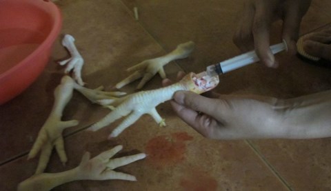 Mô tả ảnh.