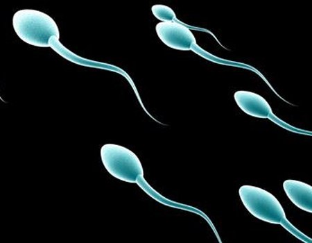 Sex, yêu, làm tình, vợ chồng, quan hệ, làm tình, tinh trùng, yếu tinh trùng, nam giới, sinh lý, yếu sinh lý, hôn nhân, hạnh phúc, Shbet111 slot, casino, thể thao, xổ số