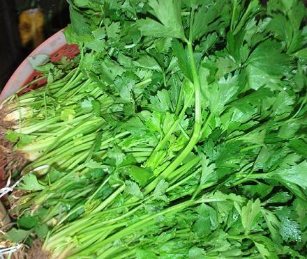 đắc lực để chăm chút cho nhan sắc.