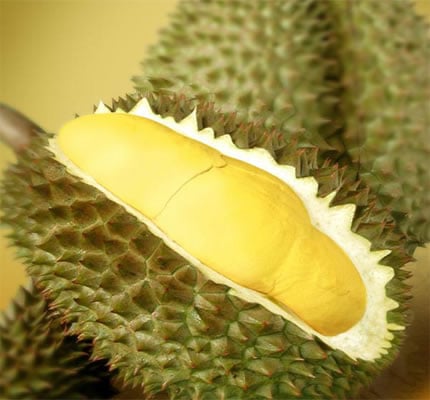 Lá mơ có vị hơi đắng, hơi mặn, mùi khó ngửi. 