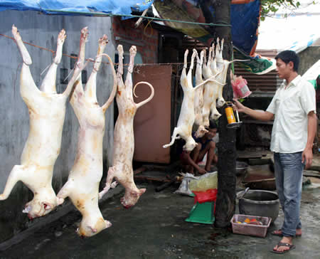 thịt mèo