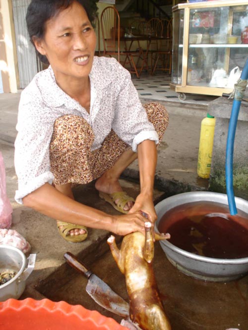 thịt mèo