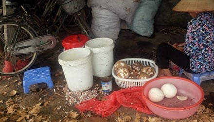 kem bẩn