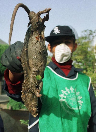 Mô tả ảnh.