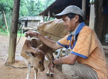Mô tả ảnh.