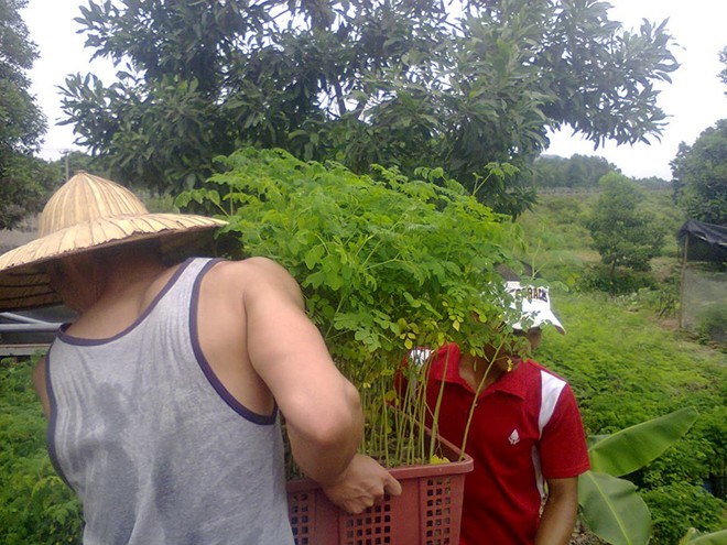 Mô tả ảnh.