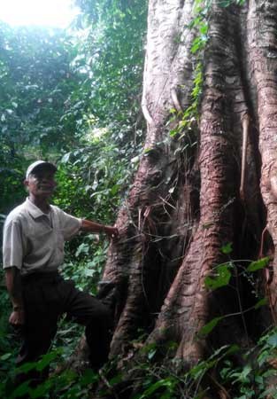 Mô tả ảnh.
