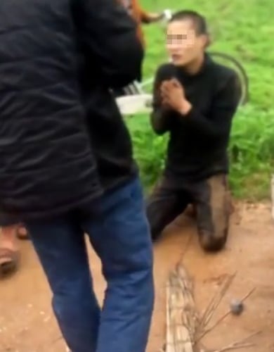 Mô tả ảnh.