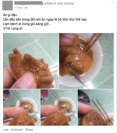 bò kho có dòi
