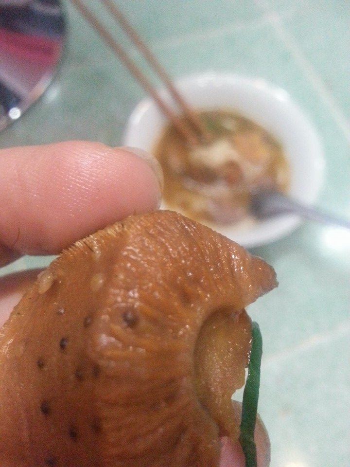 bò kho có dòi