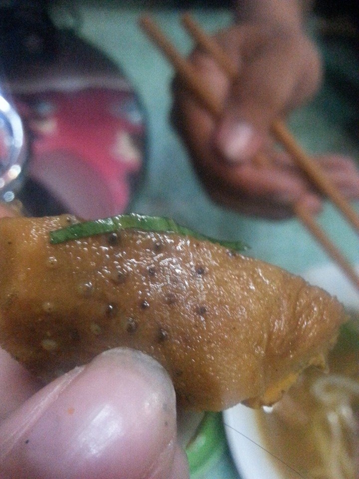 bò kho có dòi