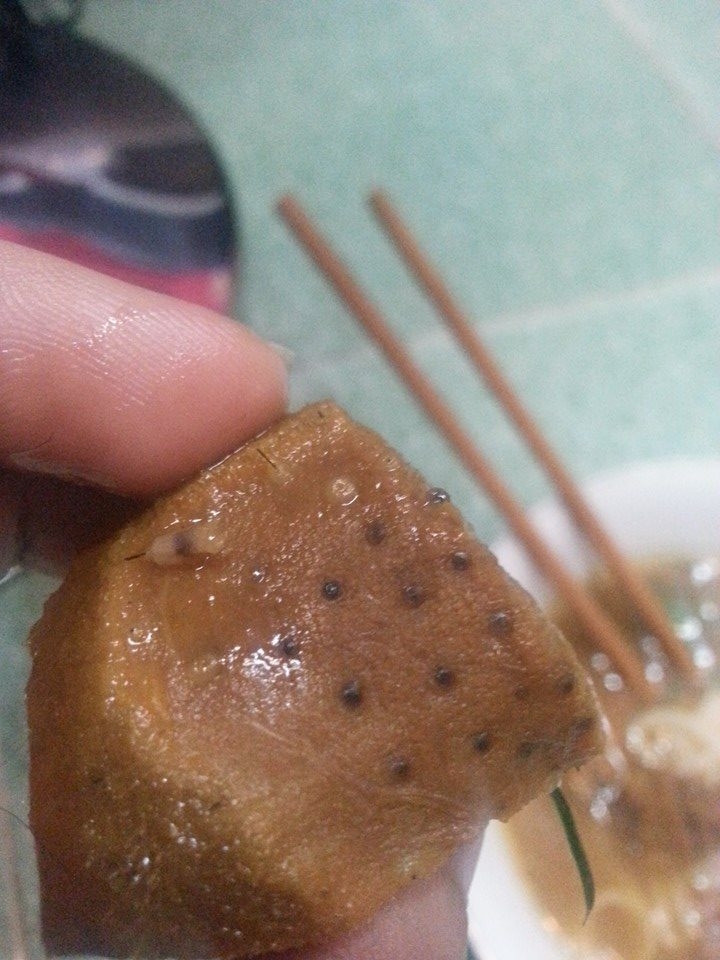 dòi trong bò kho