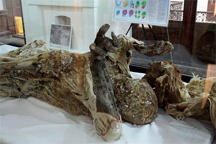 xác ướp 4